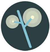 Player Logo