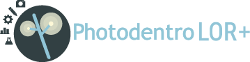 Repository logo