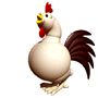 chicken