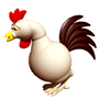 chicken