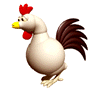chicken