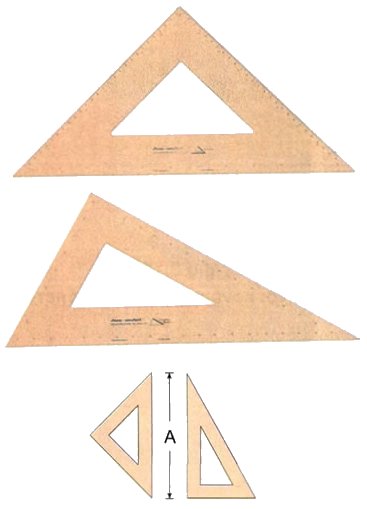 Trigona