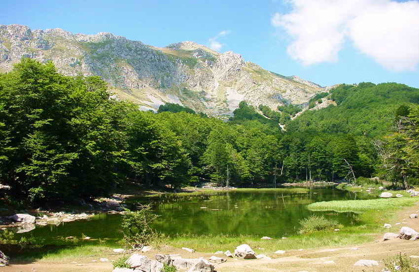 Γράμμος