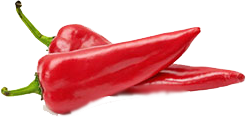 ΠΙΠΕΡΙΕΣ